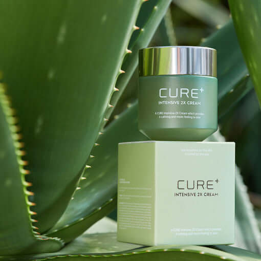 KIM JEONG MOON Aloe Cure Plus Intensive 2X Creme