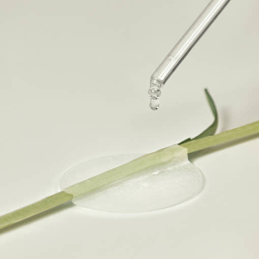 THE LAB By BLANC DOUX Grünes Flavonoid 2,5 Pad 